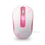 sai shun ss-911 Computer 2.4g Kabellose Maus Office Home USB Kabellose Maus Angebot groß.