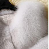 die neuen Winter Fox für...