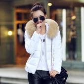 Herbst und Winter Jacke Damen Mantel Parka Pelzkragen Grösse Damen Baumwolle Gepolsterte  Jacke Mantel Bonbonfarben