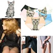 3d druck Damen und pussycat Höschen geleert Damen waren anti Katze Unterwäsche sexy slips Damen Nahtl