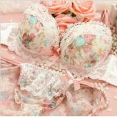 2 Farben neue Damen sexy Chiffon Floral bedruckt Tiefe v push up BH hat Prinzessin Stil Lady dessous bcd Cup