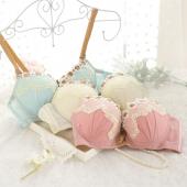 neue push up Spitzen BH hat super Dünnen anpassung BH Mädchen Baumwoll Unterwäsche sexy Damen Setzen viele