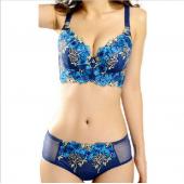 hohe Qualität einen Tiefen v Marke sexy push up BH hat groß Floraler Stickerei Spitzen Damen Unterwäsche Set