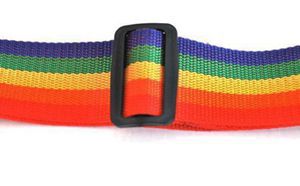 Freies Verschiffen 1 stück Minorder Regenbogen reise gepäck koffer Strap gepäck koffer Sichere Lock